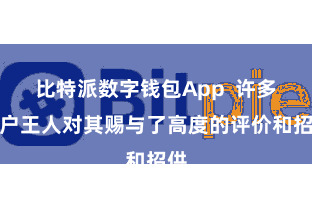 比特派数字钱包App 许多用户王人对其赐与了高度的评价和招供