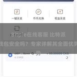 Bitpie在线客服 比特派钱包安全吗？专家详解其全面优势