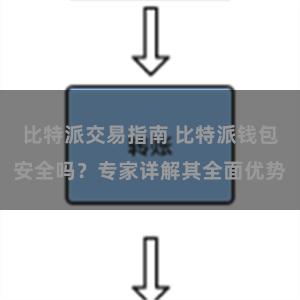 比特派交易指南 比特派钱包安全吗？专家详解其全面优势