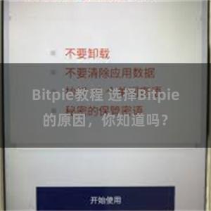 Bitpie教程 选择Bitpie的原因，你知道吗？