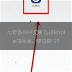 比特派APP安装 选择Bitpie的原因，你知道吗？