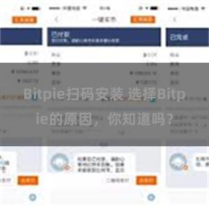 Bitpie扫码安装 选择Bitpie的原因，你知道吗？