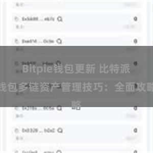 Bitpie钱包更新 比特派钱包多链资产管理技巧：全面攻略