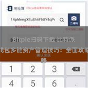 Bitpie扫码下载 比特派钱包多链资产管理技巧：全面攻略