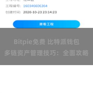 Bitpie免费 比特派钱包多链资产管理技巧：全面攻略