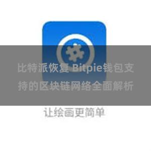 比特派恢复 Bitpie钱包支持的区块链网络全面解析