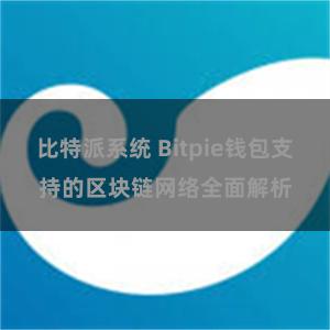 比特派系统 Bitpie钱包支持的区块链网络全面解析