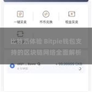 比特派体验 Bitpie钱包支持的区块链网络全面解析