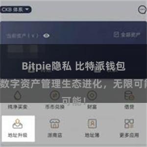 Bitpie隐私 比特派钱包：数字资产管理生态进化，无限可能！