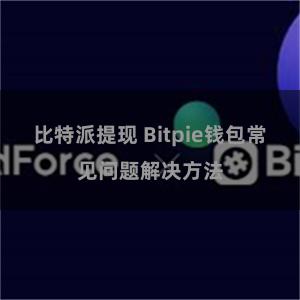 比特派提现 Bitpie钱包常见问题解决方法