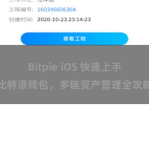 Bitpie iOS 快速上手比特派钱包，多链资产管理全攻略