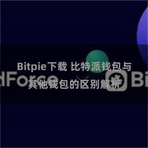 Bitpie下载 比特派钱包与其他钱包的区别解析