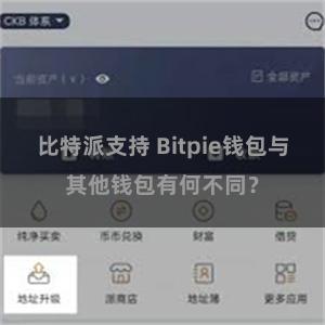 比特派支持 Bitpie钱包与其他钱包有何不同？