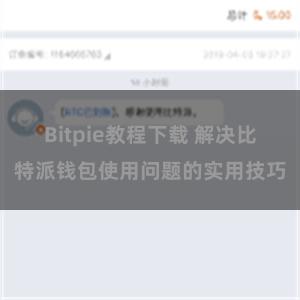 Bitpie教程下载 解决比特派钱包使用问题的实用技巧