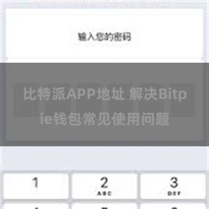 比特派APP地址 解决Bitpie钱包常见使用问题