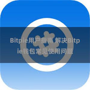 Bitpie用户指南 解决Bitpie钱包常见使用问题