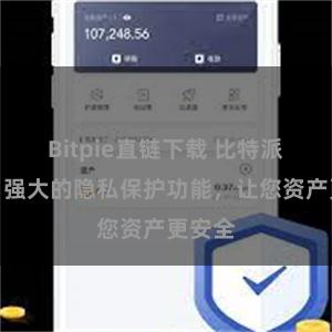 Bitpie直链下载 比特派钱包：强大的隐私保护功能，让您资产更安全