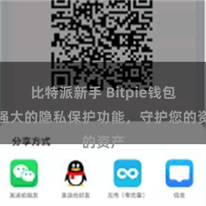 比特派新手 Bitpie钱包：强大的隐私保护功能，守护您的资产