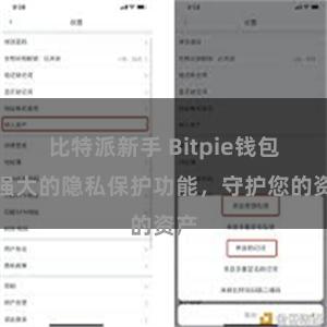 比特派新手 Bitpie钱包：强大的隐私保护功能，守护您的资产