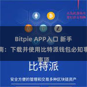 Bitpie APP入口 新手指南：下载并使用比特派钱包必知事项