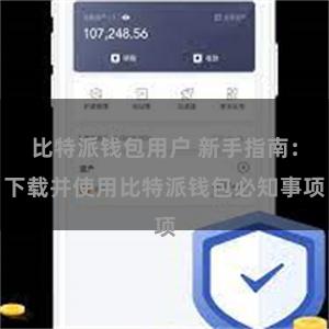 比特派钱包用户 新手指南：下载并使用比特派钱包必知事项