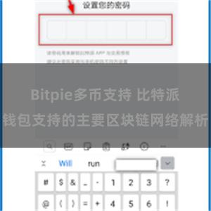 Bitpie多币支持 比特派钱包支持的主要区块链网络解析