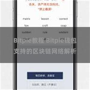 Bitpie教程 Bitpie钱包支持的区块链网络解析