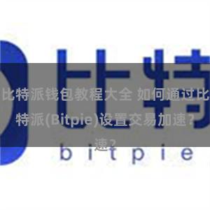 比特派钱包教程大全 如何通过比特派(Bitpie)设置交易加速？