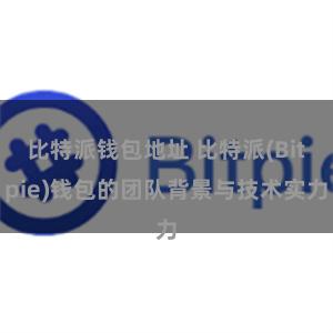 比特派钱包地址 比特派(Bitpie)钱包的团队背景与技术实力