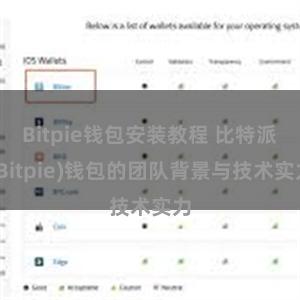 Bitpie钱包安装教程 比特派(Bitpie)钱包的团队背景与技术实力