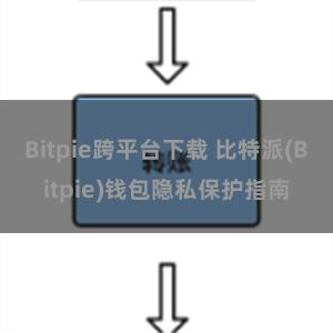 Bitpie跨平台下载 比特派(Bitpie)钱包隐私保护指南