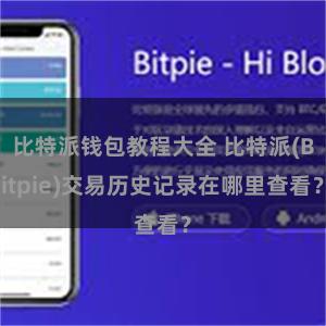 比特派钱包教程大全 比特派(Bitpie)交易历史记录在哪里查看？