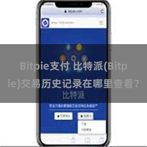 Bitpie支付 比特派(Bitpie)交易历史记录在哪里查看？