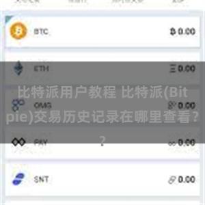 比特派用户教程 比特派(Bitpie)交易历史记录在哪里查看？