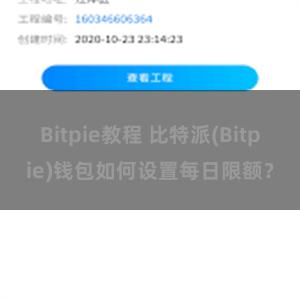 Bitpie教程 比特派(Bitpie)钱包如何设置每日限额？