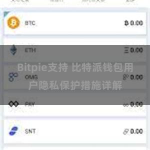 Bitpie支持 比特派钱包用户隐私保护措施详解