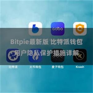 Bitpie最新版 比特派钱包用户隐私保护措施详解