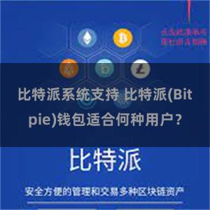 比特派系统支持 比特派(Bitpie)钱包适合何种用户？