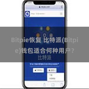 Bitpie恢复 比特派(Bitpie)钱包适合何种用户？