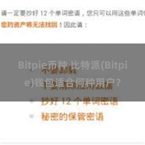 Bitpie币种 比特派(Bitpie)钱包适合何种用户？