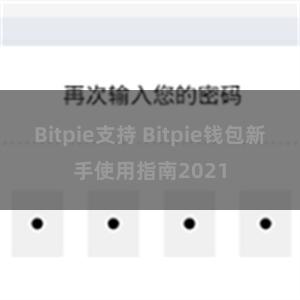 Bitpie支持 Bitpie钱包新手使用指南2021