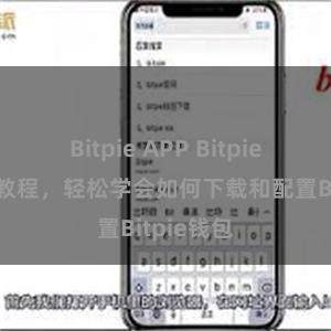 Bitpie APP Bitpie钱包安装教程，轻松学会如何下载和配置Bitpie钱包