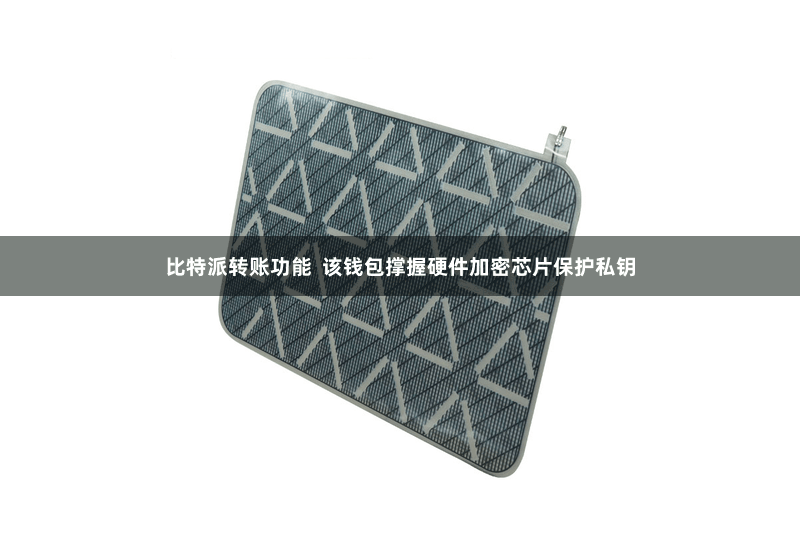 比特派转账功能  该钱包撑握硬件加密芯片保护私钥