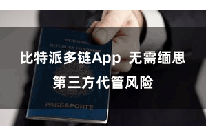 比特派多链App  无需缅思第三方代管风险